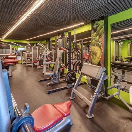 Alpine Luxury Penthouse - Private Gym & Alps View Apartment San Bernardo (Sondrio)